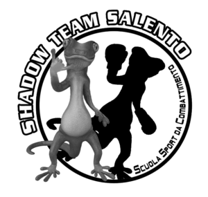 logo shadow team color2