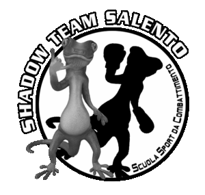 logo shadow team color2