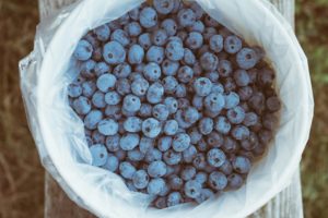 Alimentazione frutta