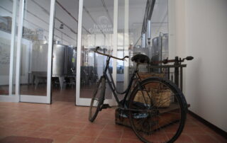 Feudi Guagnano