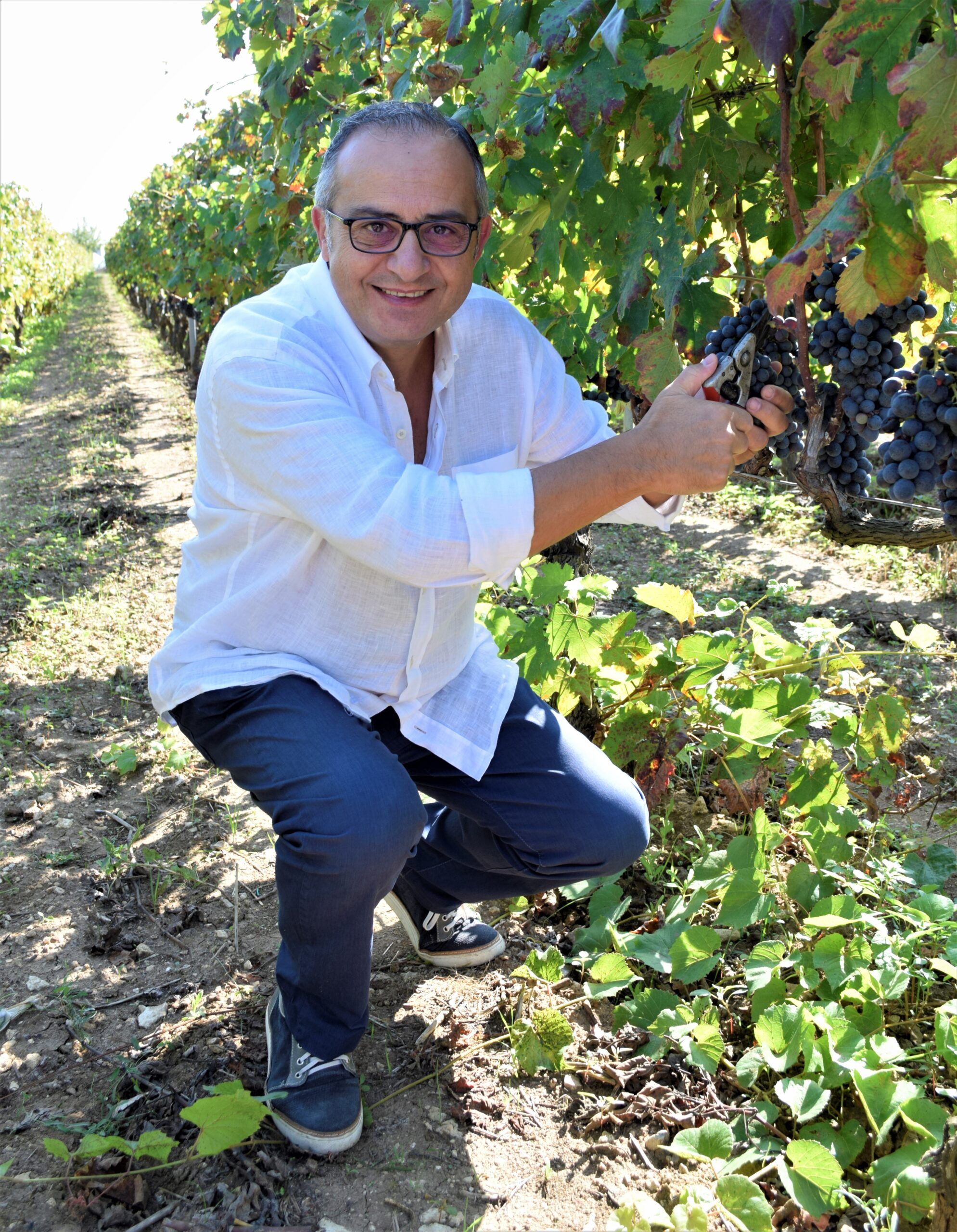 Feudi Guagnano